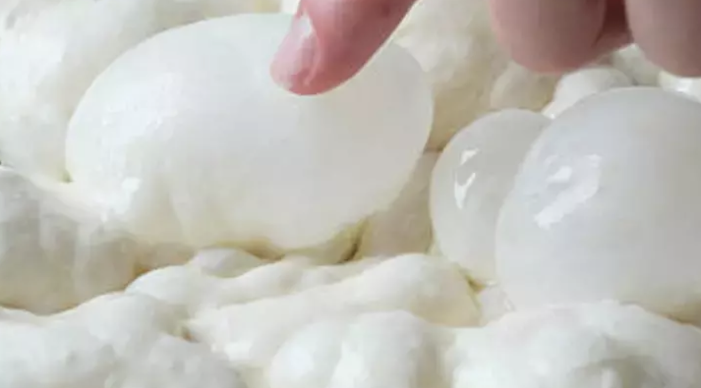 Namık Kemal Üniversitesi9